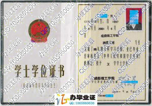 成都理工学院2001年学位证