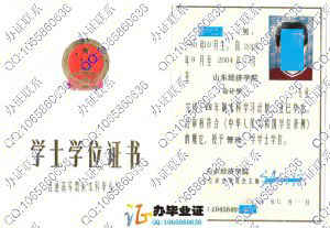 山东经济学院2004年学位证