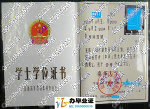 南华大学2004年学位证