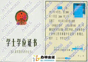 哈尔滨工业大学2005年成人教育学位证