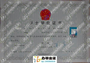 西安工程大学2010年学位证样本