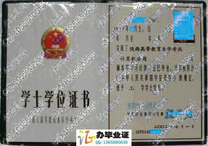 西安电子科技大学2003年自学考试学士学位证