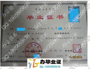 永州职业技术学院2009年毕业证书