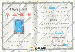 山东轻工业学院2002年毕业证书