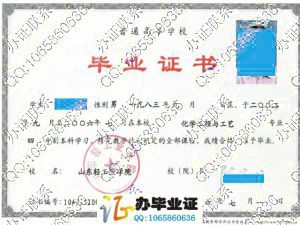 山东轻工业学院2006年毕业证样本