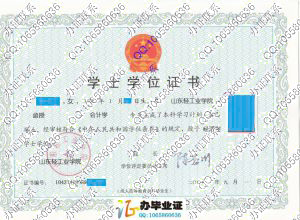 山东轻工业学院2008年成人教育学位证样本