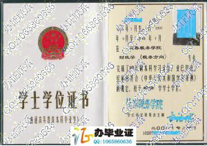 长春税务学院2001年学位证