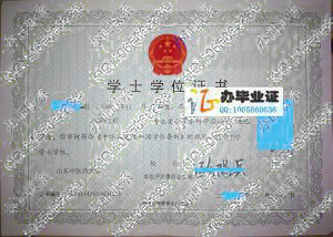 山东中医药大学2010年学位证样本 src=