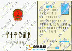 中央音乐学院2006年成人教育专升本学位证 src=