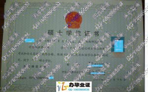 湖南师范大学2009年硕士学位证样本