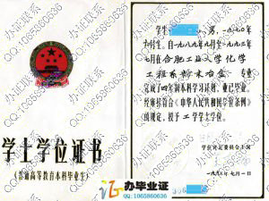 合肥工业大学1993年本科学位证书 src=