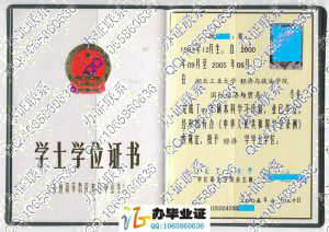 湖北工业大学2005年学位证