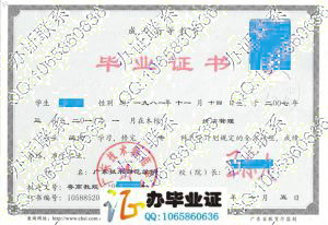 广东技术师范学院2010年成人教育毕业证 src=