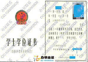 玉林师范学院2006年学位证 src=