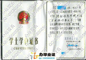 沈阳师范学院1993年学位证样本