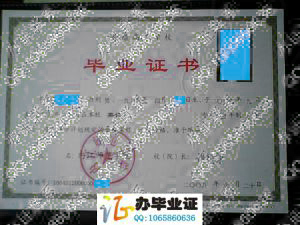 内江师范学院2008年毕业证