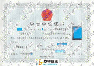 绵阳师范学院2008年学位证样本