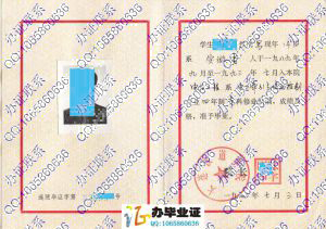 大连铁道学院1993年毕业证