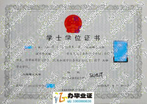 大连理工大学2009年学位证样本