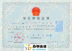 河南理工大学2008年学位证