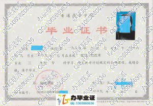 铜陵学院2009年毕业证书