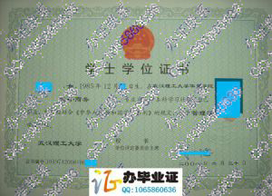 武汉理工大学华夏学院2008年学位证样本