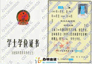 武汉工业学院2005年学位证样本 src=