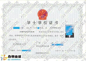 天津师范大学2011年学士学位证样本