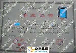 东北师范大学2009年毕业证