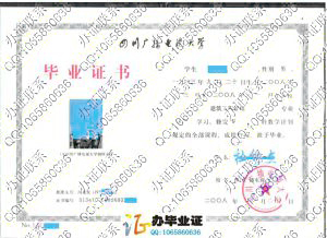 四川广播电视大学2008年成人教育毕业证