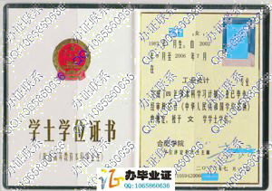 合肥学院2006年学位证书