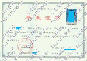 河南师范大学2008年毕业证书