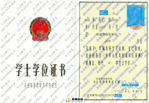 景德镇陶瓷学院2007年学士学位证