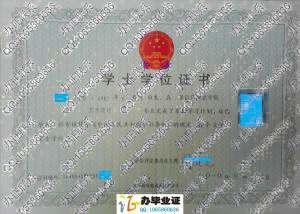 景德镇陶瓷学院2010年学位证样本