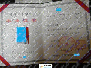 沈阳大学师范学院2000年大专毕业证