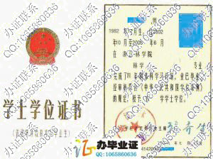 浙江林学院2006年学士学位证