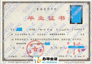 长沙学院2006年大专毕业证