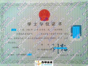 长沙学院2009年学士学位证