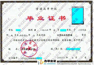 西安欧亚学院2008年大专毕业证样本