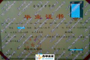 西安欧亚学院2010年毕业证书