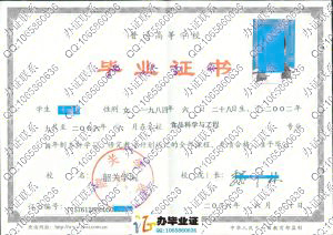 韶关学院2006年本科毕业证书