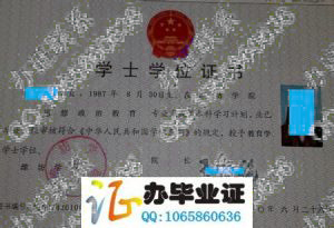 潍坊学院2010年学位证书