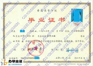 西华大学2010年软件工程本科毕业证