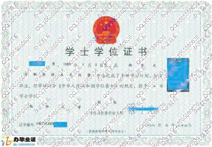 西华大学2008年学位证书