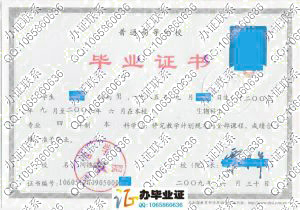 河池学院2009年毕业证