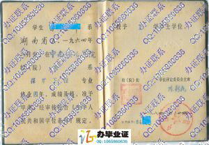 中南矿冶学院1984年学位证