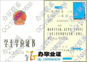 南开大学2006年网络教育学位证书