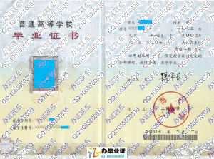 上海大学2007年毕业证书