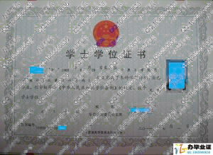 中原工学院2011年学位证样本