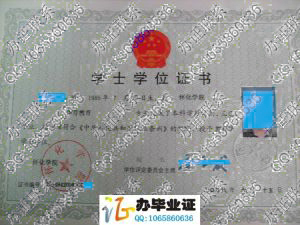 怀化学院2008年学位证书